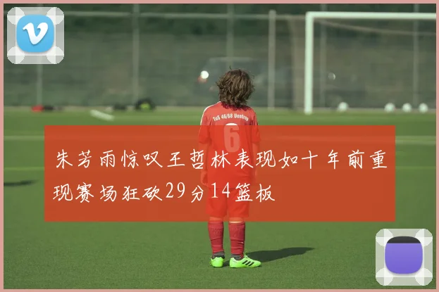 朱芳雨惊叹王哲林表现如十年前重现赛场狂砍29分14篮板