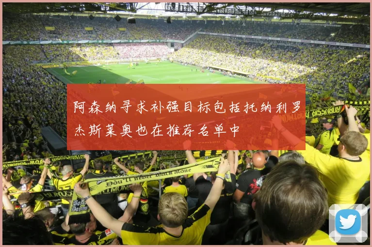 阿森纳寻求补强目标包括托纳利罗杰斯莱奥也在推荐名单中